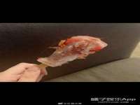 付临门（广东）网络科技有限公司